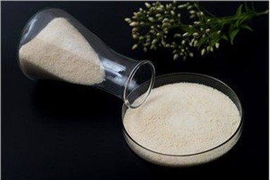 Maltogene Amylase