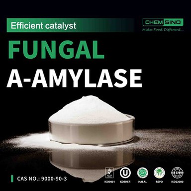 China Enzyme Manufacturing Pilz-A-Amylase CAS-NR.: 9000-90-2