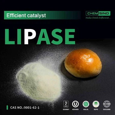 Verabschieden Sie sich von Verdauungsbeschwerden: Probieren Sie Lipase Enzyme noch heute aus!CAS-NR.:9001-62-1