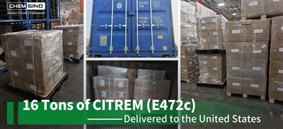 16 Tonnen CITREM (E472c) in die Vereinigten Staaten geliefert
