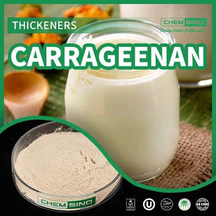 Carrageen steigert den Durchbruch in der Textur und ist damit Vorreiter in der Lebensmittelindustrie! CAS-NR.9000-07-1