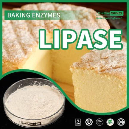 Lipase-Enzym: Der beste Freund Ihrer Verdauungsgesundheit!CAS-NR.:9001-62-1