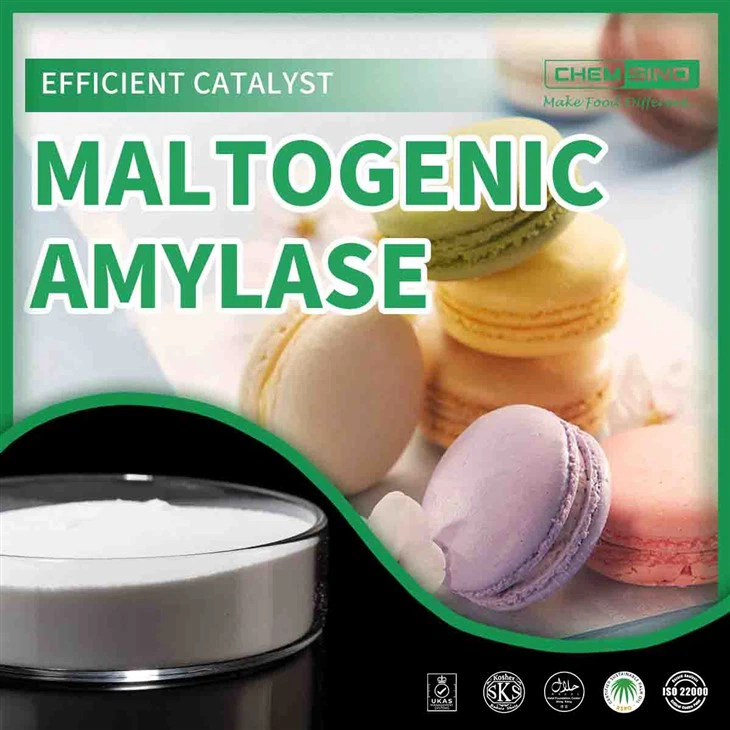 Genießen Sie Perfektion: Verfeinern Sie Ihre Rezepte mit maltogener Amylase! CAS-NR. 9000-92-4