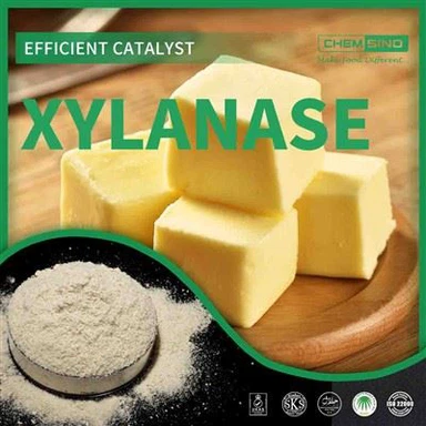 CAS 9025-57-4: Der Weg zur Effizienz – Schalten Sie die Kraft von Xylanase frei!