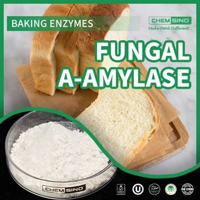 China Sustainable Development Fungal A-Amylase CAS-NR.: 9000-90-2