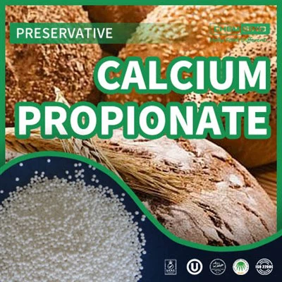 Bulk Calciumpropionatpulver für Bäckerei -Haltbarkeit
